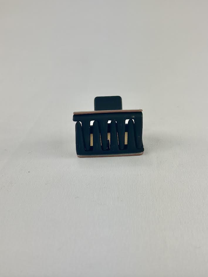 Sm Brown Cactus Clip